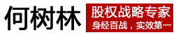 股权专家何树林