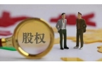 企业股权布局的五大核心要点